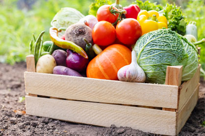 Gemüsebox
